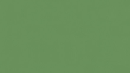 Vinyltapete grün Modern Uni Longlife Colours 291