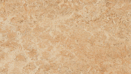 Forbo Linoleum Marmoleum Real - shell 3075 - 2.5mm