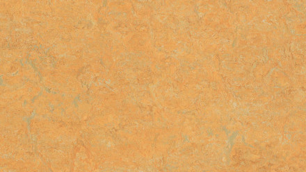 Forbo Linoleum Marmoleum Real - golden saffron 3847 - 2mm