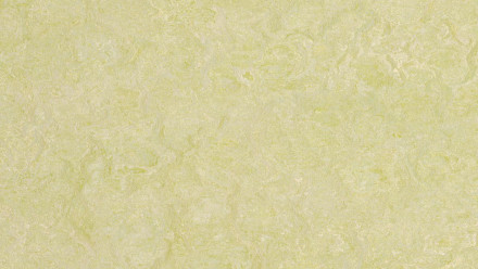 Forbo Linoleum Marmoleum Real - green wellness 3881 - 2.5mm