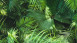 Vinyltapete Designpanel grün Modern Blumen & Natur Bilder Pop.up Panel 3D 441