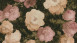 Vinyltapete rosa Vintage Klassisch Blumen & Natur Bilder History of Art 501