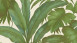 Vinyltapete grün Retro Blumen & Natur Versace 2 405