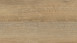 Wineo Klick Vinyl Multilayer - 400 wood XL Joy Oak Tender | Trittschalldämmung integr. (MLD126WXL)
