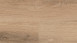 Wineo Rigid Klick Vinyl - 400 wood L Vivid Oak Nature | Trittschalldämmung integr. (RLC283WL)