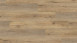 Wineo Klebevinyl - 400 wood XL Joy Oak Tender | Synchronprägung (DB126WXL)