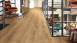 planeo Laminat - Eiche Natur | Infinity Design Endlosoptik (PML-55170)